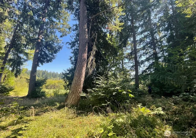Photo 2 of Land for sale at 17616 Se Vine Ln, Yelm, WA 98597 | MLS# NWM2524318 | Listing updated on 2026-09-21
