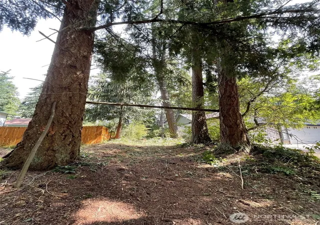 Photo 3 of Land for sale at 17616 Se Vine Ln, Yelm, WA 98597 | MLS# NWM2524318 | Listing updated on 2026-09-21