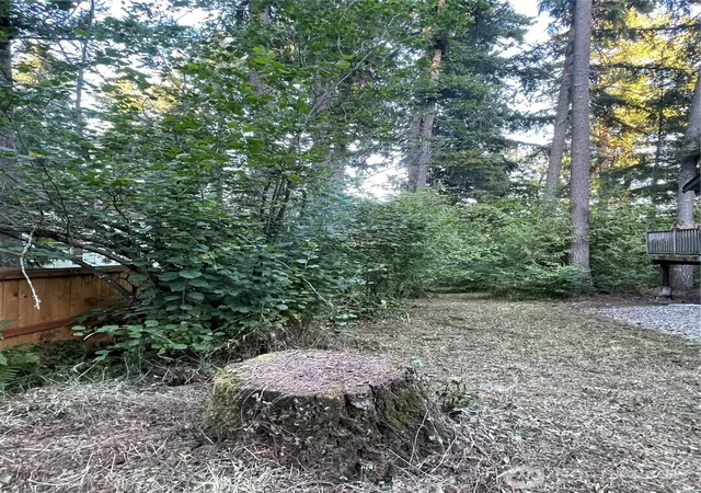 Photo 3 of Land for sale at 17616 SE Vine Ln, Yelm, WA 98597 | MLS# NWM2524318 | Listing updated on 2026-09-21