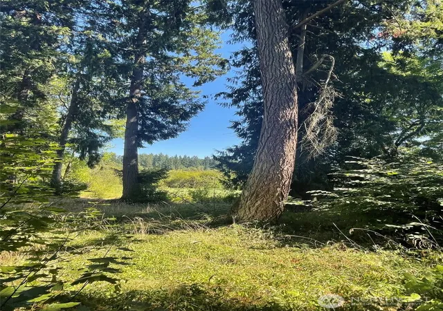 Photo 4 of Land for sale at 17616 SE Vine Ln, Yelm, WA 98597 | MLS# NWM2524318 | Listing updated on 2026-09-21