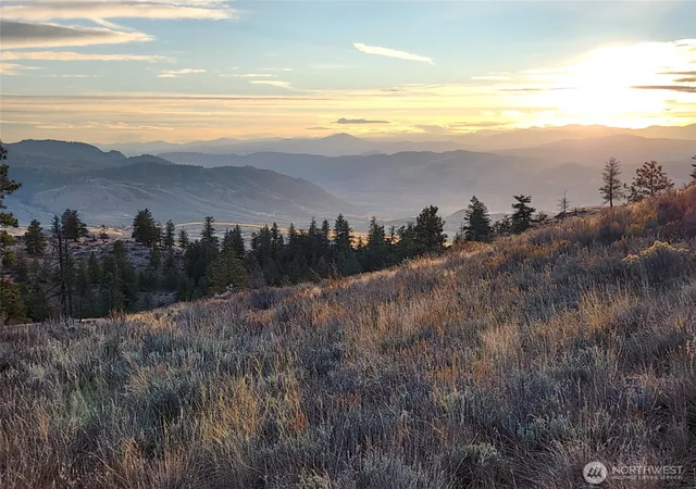 Photo 1 of Land for sale at 0 Blue Grouse (div 5 Lot 42), Oroville, WA 98844 | MLS# NWM2524434 | Listing updated on 2026-10-01