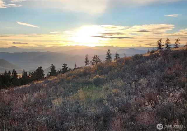 Photo 2 of Land for sale at 0 Blue Grouse (div 5 Lot 42), Oroville, WA 98844 | MLS# NWM2524434 | Listing updated on 2026-10-01