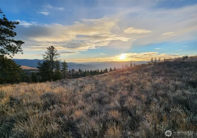 Photo 3 of Land for sale at 0 Blue Grouse (div 5 Lot 42), Oroville, WA 98844 | MLS# NWM2524434 | Listing updated on 2026-10-01