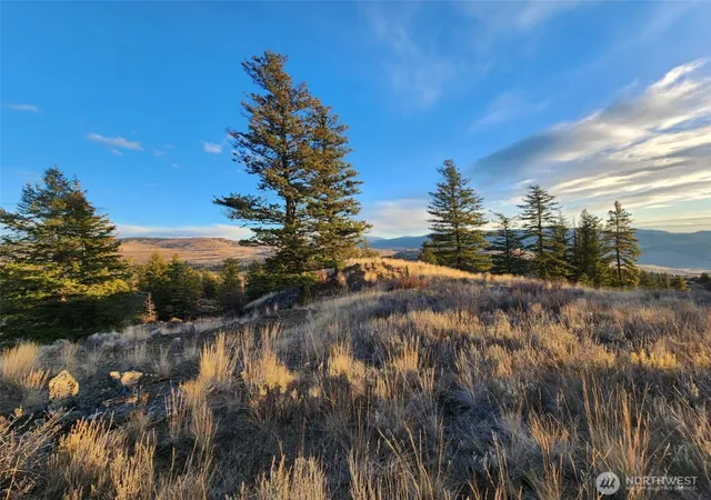 Photo 3 of Land for sale at 0 Blue Grouse (div 5 Lot 42), Oroville, WA 98844 | MLS# NWM2524434 | Listing updated on 2026-10-01