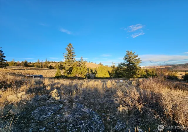 Photo 4 of Land for sale at 0 Blue Grouse (div 5 Lot 42), Oroville, WA 98844 | MLS# NWM2524434 | Listing updated on 2026-10-01