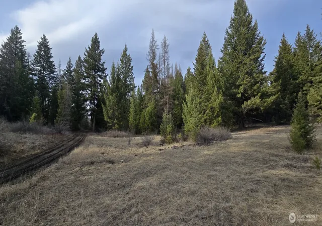 Photo 1 of Land for sale at 99 Prior Loop Rd, Oroville, WA 98844 | MLS# NWM2524441 | Listing updated on 2026-09-21