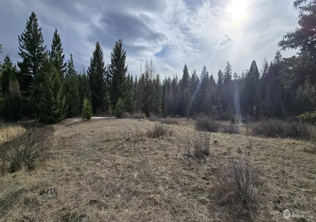 Photo 2 of Land for sale at 99 Prior Loop Rd, Oroville, WA 98844 | MLS# NWM2524441 | Listing updated on 2026-09-21