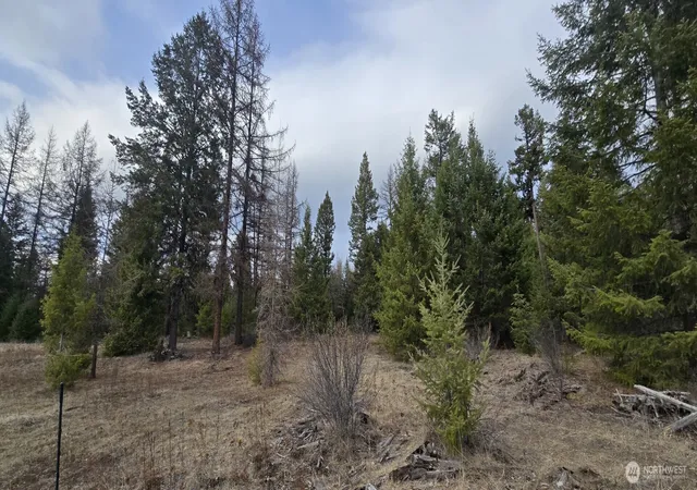 Photo 3 of Land for sale at 99 Prior Loop Rd, Oroville, WA 98844 | MLS# NWM2524441 | Listing updated on 2026-09-21