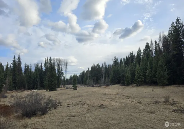 Photo 4 of Land for sale at 99 Prior Loop Rd, Oroville, WA 98844 | MLS# NWM2524441 | Listing updated on 2026-09-21