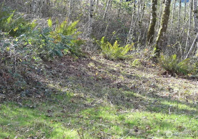 Photo 3 of Land for sale at 0 Horizon Dr #Lot 3, Kalama, WA 98625 | MLS# NWM2524500 | Listing updated on 2026-09-21