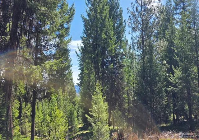 Photo 1 of Land for sale at 111 Tbd Wannamaker Rd, Oroville, WA 98844 | MLS# NWM2524653 | Listing updated on 2026-09-21
