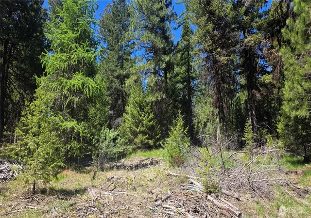 Photo 2 of Land for sale at 111 Tbd Wannamaker Rd, Oroville, WA 98844 | MLS# NWM2524653 | Listing updated on 2026-09-21