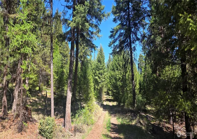 Photo 3 of Land for sale at 111 Tbd Wannamaker Rd, Oroville, WA 98844 | MLS# NWM2524653 | Listing updated on 2026-09-21