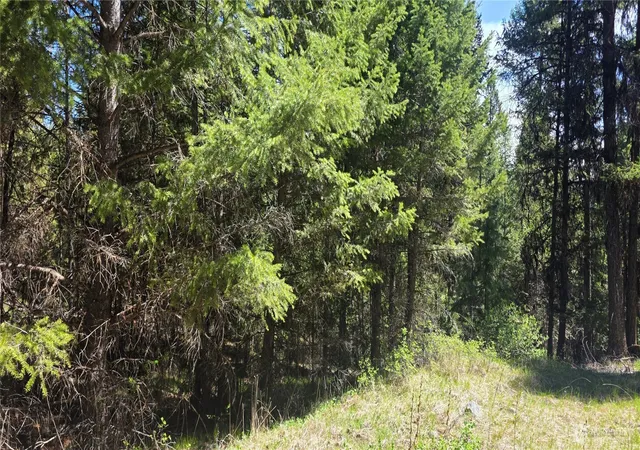 Photo 3 of Land for sale at 111 Tbd Wannamaker Rd, Oroville, WA 98844 | MLS# NWM2524653 | Listing updated on 2026-09-21