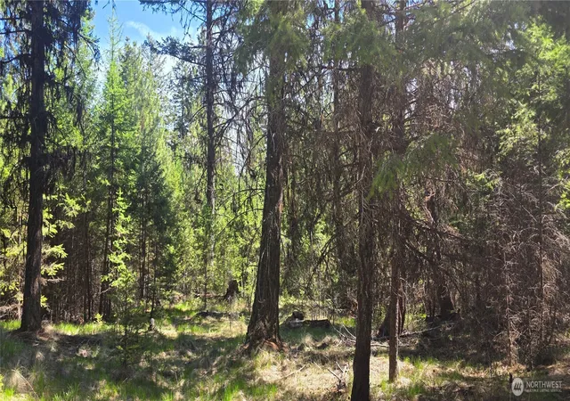 Photo 4 of Land for sale at 111 Tbd Wannamaker Rd, Oroville, WA 98844 | MLS# NWM2524653 | Listing updated on 2026-09-21