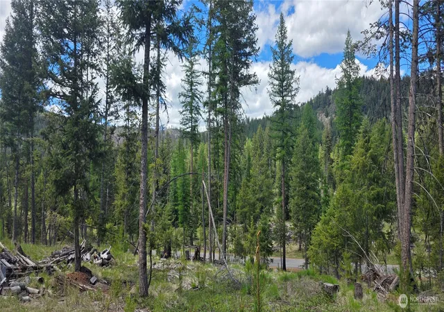 Photo 3 of Sale Pending at 790 Bonaparte Lake Rd, Tonasket, WA 98855 | MLS# NWM2524691 | Listing updated on 2026-09-21