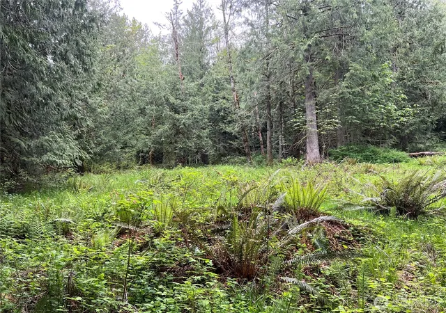 Photo 1 of Sale Pending at 1 Se Xxxx 51st St, Preston, WA 98050 | MLS# NWM2524852 | Listing updated on 2026-09-29