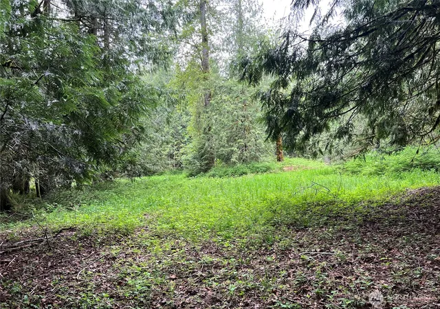 Photo 2 of Sale Pending at 1 Se Xxxx 51st St, Preston, WA 98050 | MLS# NWM2524852 | Listing updated on 2026-09-29