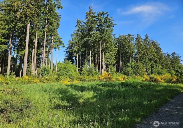 Photo 3 of Land for sale at 5033 Polehn Rd Sw, Rochester, WA 98579 | MLS# NWM2524915 | Listing updated on 2026-09-21