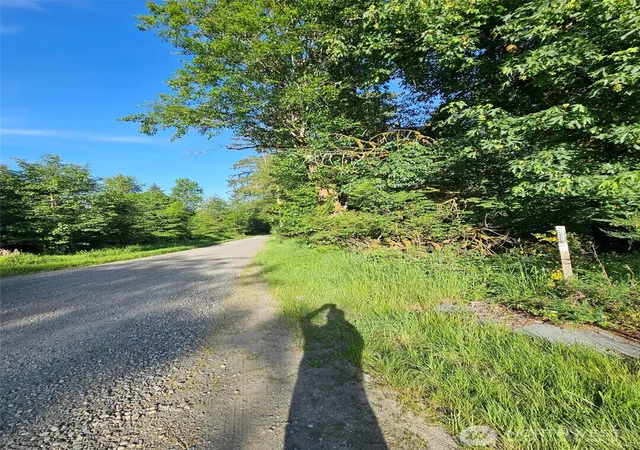 Photo 3 of Land for sale at 5033 Polehn Rd SW, Rochester, WA 98579 | MLS# NWM2524915 | Listing updated on 2026-09-21