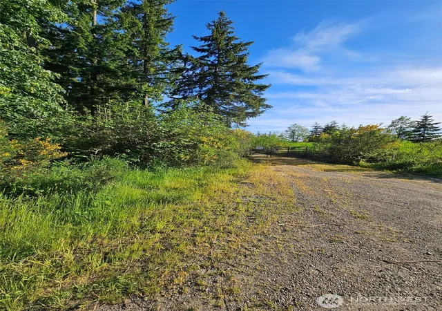 Photo 4 of Land for sale at 5033 Polehn Rd SW, Rochester, WA 98579 | MLS# NWM2524915 | Listing updated on 2026-09-21