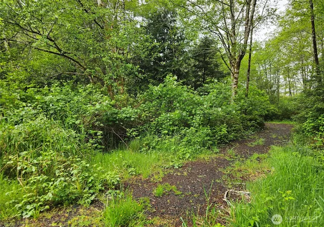 Photo 1 of Land for sale at 0 Patricia Dr, Copalis Beach, WA 98535 | MLS# NWM2525171 | Listing updated on 2026-09-21