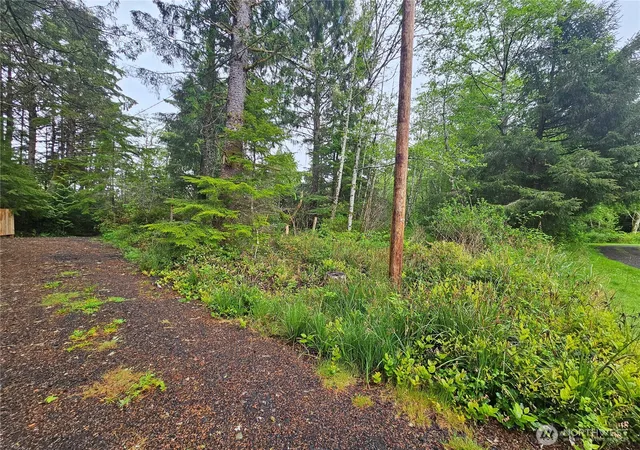 Photo 2 of Land for sale at 0 Patricia Dr, Copalis Beach, WA 98535 | MLS# NWM2525171 | Listing updated on 2026-09-21