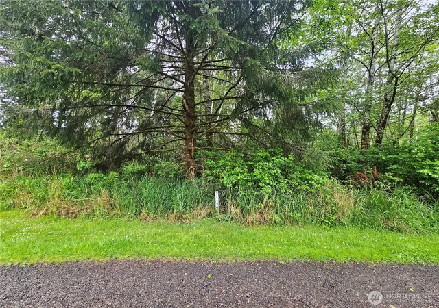 Photo 3 of Land for sale at 0 Patricia Dr, Copalis Beach, WA 98535 | MLS# NWM2525171 | Listing updated on 2026-09-21