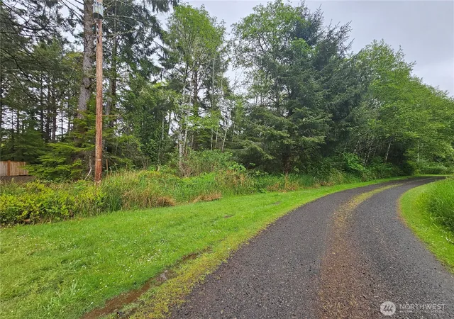 Photo 3 of Land for sale at 0 Patricia Dr, Copalis Beach, WA 98535 | MLS# NWM2525171 | Listing updated on 2026-09-21