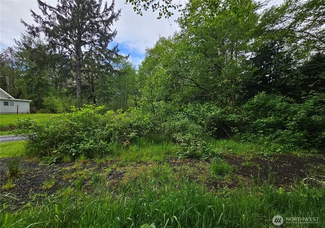 Photo 4 of Land for sale at 0 Patricia Dr, Copalis Beach, WA 98535 | MLS# NWM2525171 | Listing updated on 2026-09-21