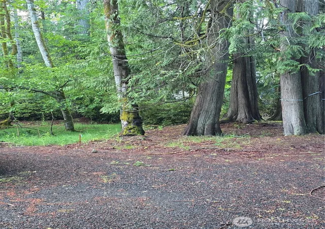 Photo 4 of Land for sale at 441 E Pointes Dr, Shelton, WA 98584 | MLS# NWM2525289 | Listing updated on 2026-09-26