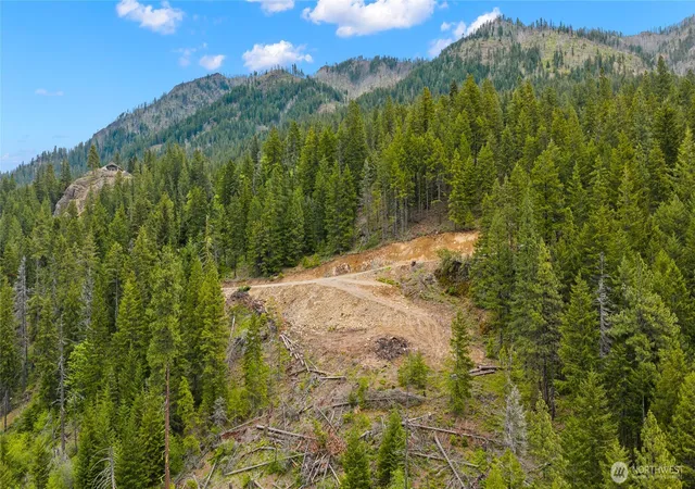 Photo 4 of Land for sale at 0 Morgan Crk, Ronald, WA 98940 | MLS# NWM2525354 | Listing updated on 2026-09-21