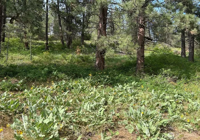 Photo 1 of Land for sale at 0 W Xxx 6th St, Cle Elum, WA 98922 | MLS# NWM2525457 | Listing updated on 2026-09-21
