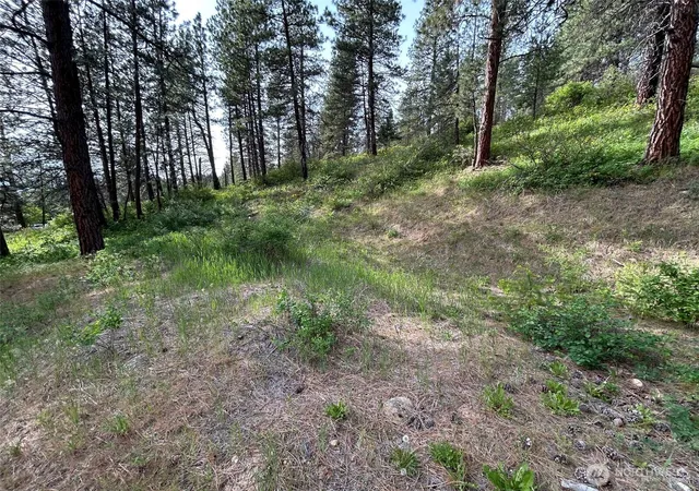 Photo 3 of Land for sale at 0 W Xxx 6th St, Cle Elum, WA 98922 | MLS# NWM2525457 | Listing updated on 2026-09-21