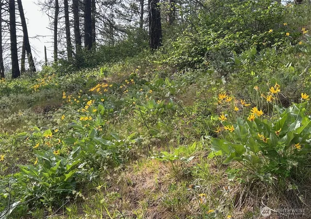 Photo 3 of Land for sale at 0 W Xxx 6th St, Cle Elum, WA 98922 | MLS# NWM2525457 | Listing updated on 2026-09-21