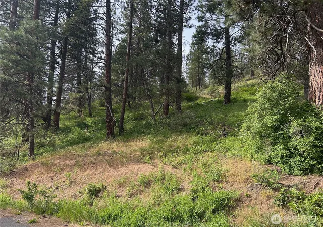 Photo 4 of Land for sale at 0 W Xxx 6th St, Cle Elum, WA 98922 | MLS# NWM2525457 | Listing updated on 2026-09-21