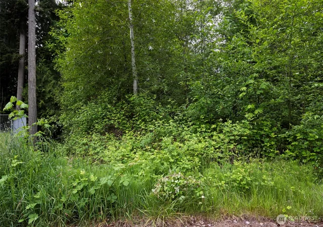 Photo 4 of Land for sale at 0 10th Avenue NE, Poulsbo, WA 98370 | MLS# NWM2525619 | Listing updated on 2026-09-21