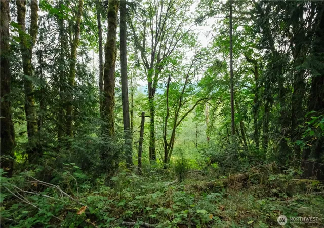 Photo 4 of Land for sale at 245 SE Xx 146th St, Issaquah, WA 98027 | MLS# NWM2525783 | Listing updated on 2026-09-21