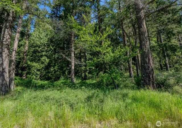Photo 4 of Land for sale at 140 Judith Ln, Orcas, WA 98280 | MLS# NWM2525885 | Listing updated on 2026-09-21