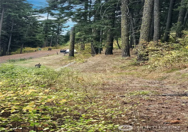 Photo 4 of Land for sale at 0 Lot 78 Skull Springs Rd, Cle Elum, WA 98922 | MLS# NWM2525952 | Listing updated on 2026-09-21