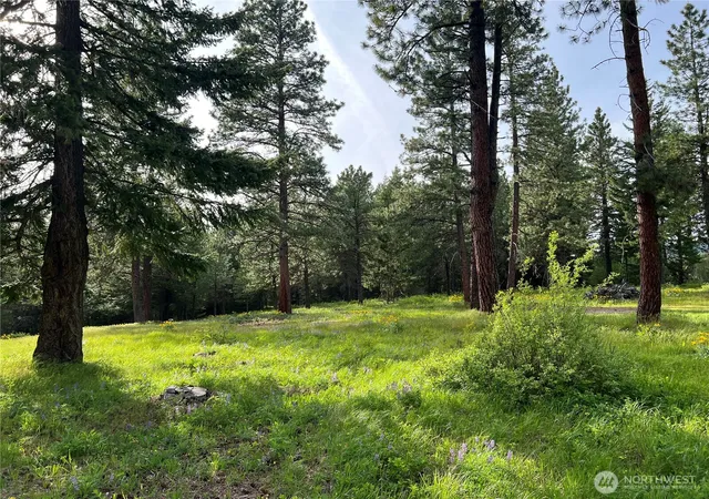 Photo 1 of Land for sale at 740 Sun Ridge Dr, Cle Elum, WA 98922 | MLS# NWM2525964 | Listing updated on 2026-09-21