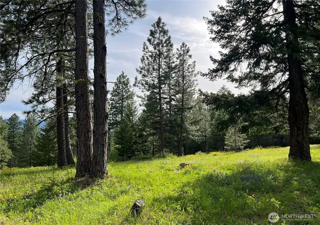 Photo 2 of Land for sale at 740 Sun Ridge Dr, Cle Elum, WA 98922 | MLS# NWM2525964 | Listing updated on 2026-09-21
