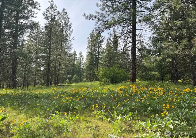 Photo 3 of Land for sale at 740 Sun Ridge Dr, Cle Elum, WA 98922 | MLS# NWM2525964 | Listing updated on 2026-09-21