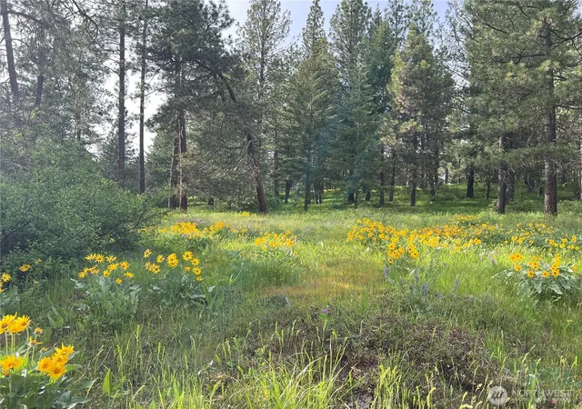 Photo 3 of Land for sale at 740 Sun Ridge Dr, Cle Elum, WA 98922 | MLS# NWM2525964 | Listing updated on 2026-09-21
