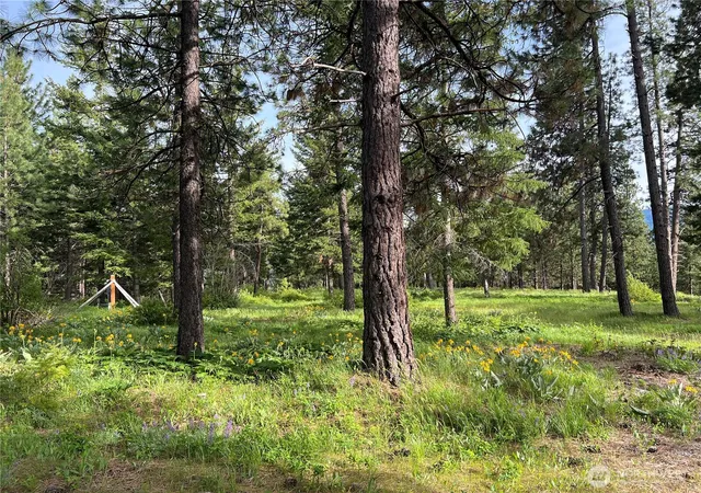 Photo 4 of Land for sale at 740 Sun Ridge Dr, Cle Elum, WA 98922 | MLS# NWM2525964 | Listing updated on 2026-09-21