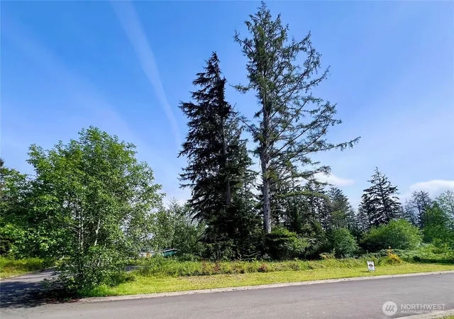 Photo 3 of Land for sale at 10 Sunrise Ln, South Bend, WA 98586 | MLS# NWM2526053 | Listing updated on 2026-09-21