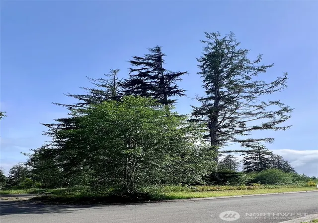 Photo 4 of Land for sale at 10 Sunrise Ln, South Bend, WA 98586 | MLS# NWM2526053 | Listing updated on 2026-09-21