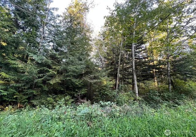 Photo 1 of Land for sale at 10 Rex St, Point Roberts, WA 98281 | MLS# NWM2526156 | Listing updated on 2026-09-21