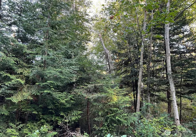 Photo 2 of Land for sale at 10 Rex St, Point Roberts, WA 98281 | MLS# NWM2526156 | Listing updated on 2026-09-21