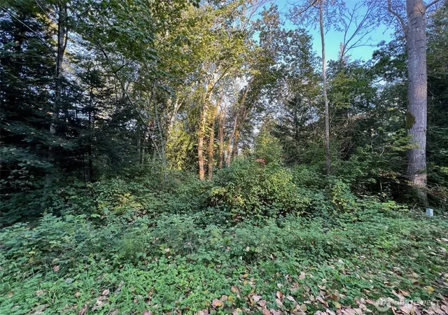 Photo 3 of Land for sale at 10 Rex St, Point Roberts, WA 98281 | MLS# NWM2526156 | Listing updated on 2026-09-21